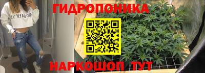 трава Нальчик