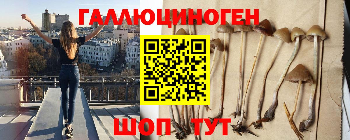 Галлюциногенные грибы Cubensis Благовещенск
